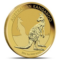 1 Oz Australian Kangaroo 2016 Gold Coin reverse side with kangaroo design 1 Oz Australian Kangaroo 2016 Gold Coin reverse side with kangaroo design